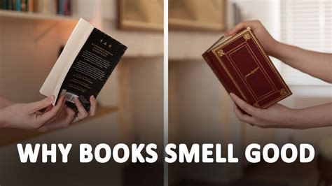 Why Do Books Smell Good and What It Represents?